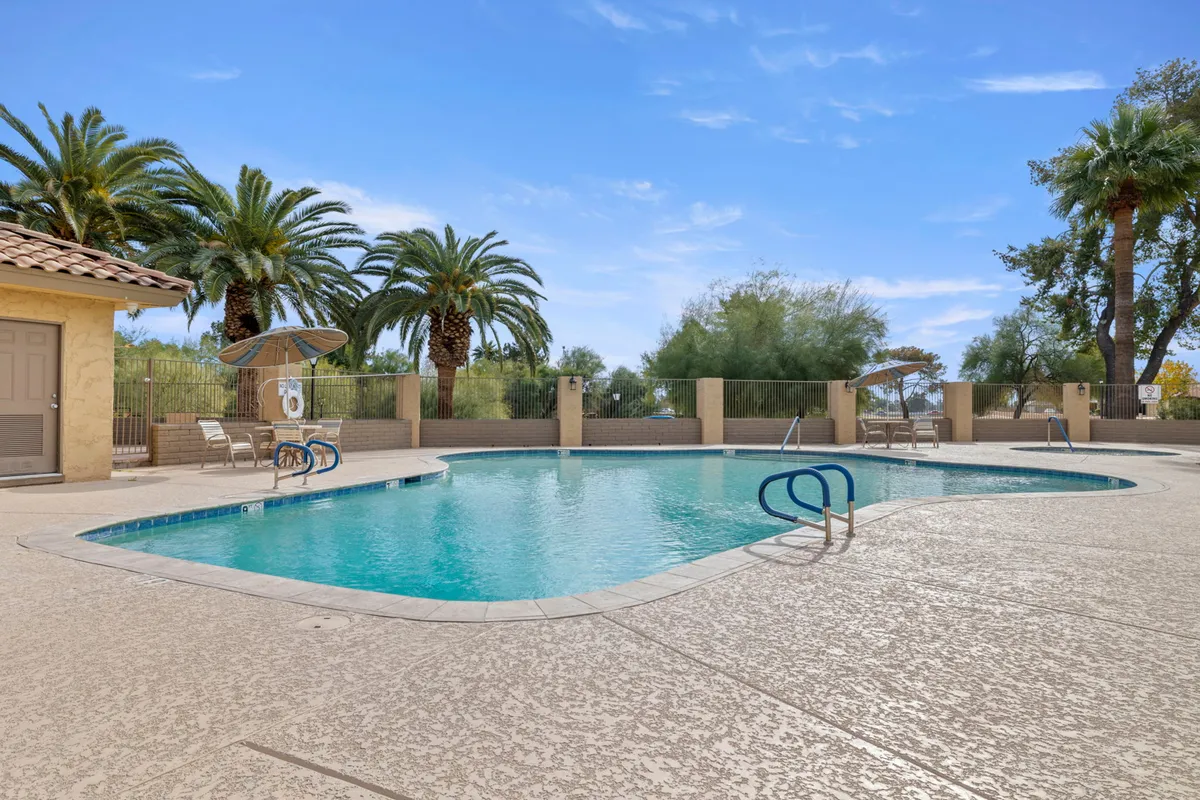 A sun-kissed community pool area surrounded by palm trees and poolside lounge chairs, inviting residents for swimming, sunbathing, or socializing. The vibe is leisurely, open, and distinctly resort-like.